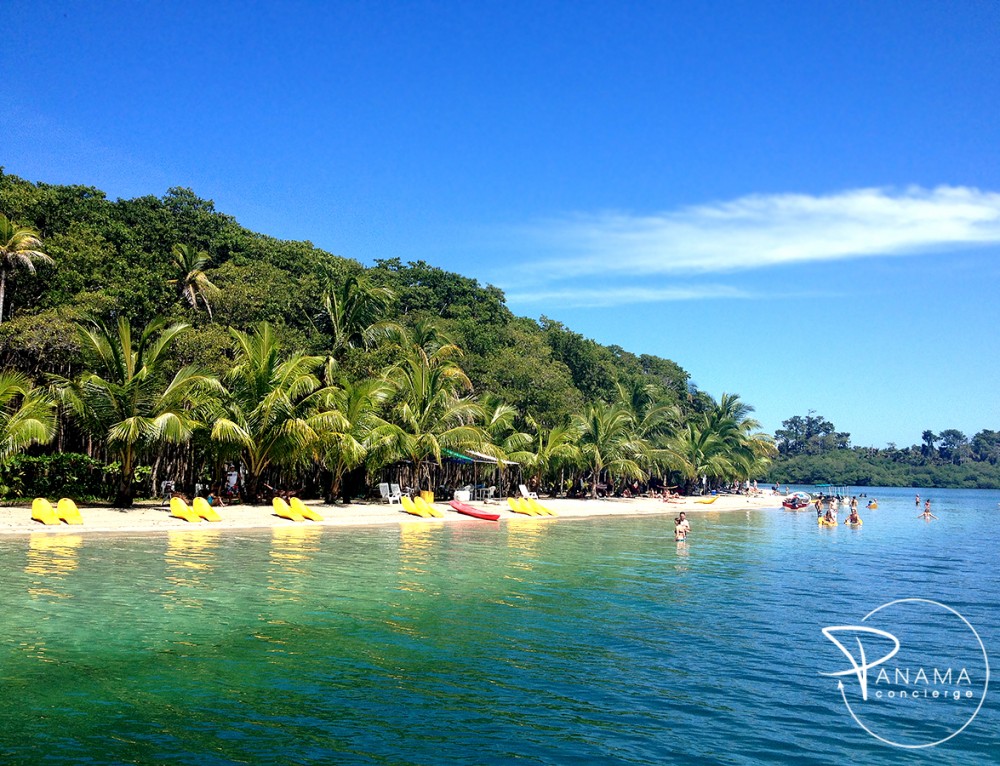 Isla Zapatilla Most Beautiful Beaches In Bocas Del Toro Panama