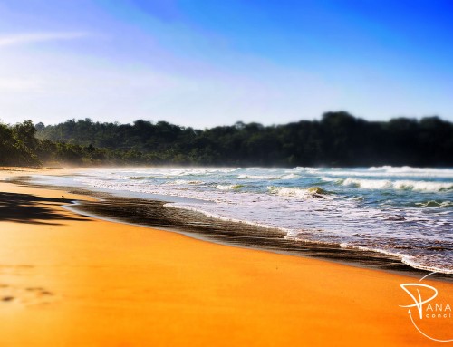 Wizard Beach – #5 Most Beautiful Beach in Bocas del Toro